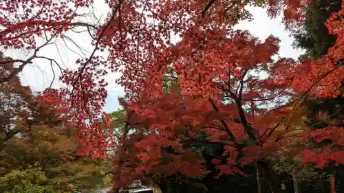 毘沙門堂門跡(京都府)