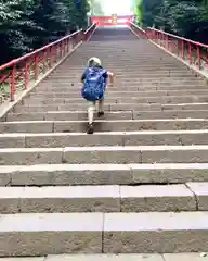 大崎八幡宮の建物その他