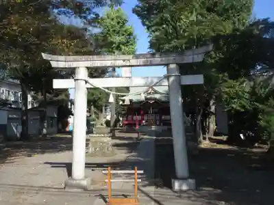 本多八幡神社(東京都)