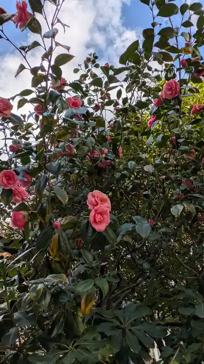 京都大神宮(京都府)