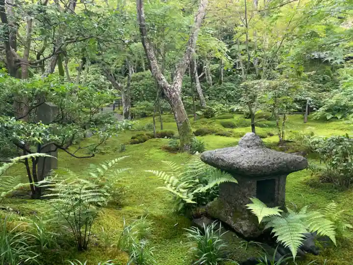 祇王寺(京都府)
