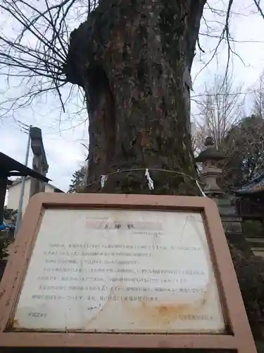 佐間天神社のその他建物