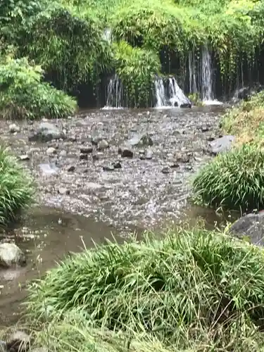 木曽三社神社の自然