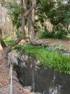 河合神社（鴨川合坐小社宅神社）(京都府)