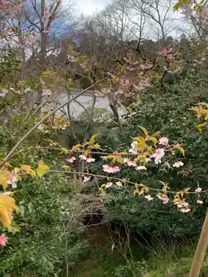 成就院(京都府)