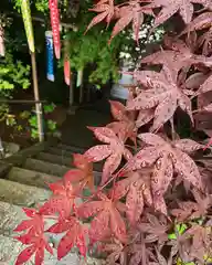 滑川神社 - 仕事と子どもの守り神の自然