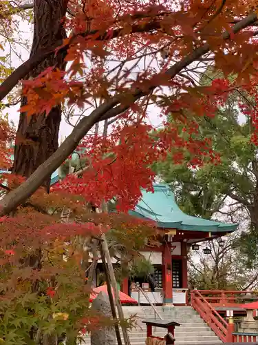 多摩川浅間神社の自然