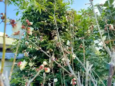 伊勢の国 四天王寺(三重県)
