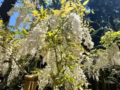 歌泉堂（春日大社神苑萬葉植物園内鎮座）(奈良県)