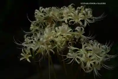 伊勢山皇大神宮(神奈川県)