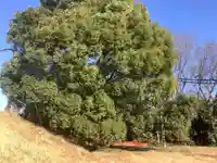 廃社・黒龍大神(愛知県)