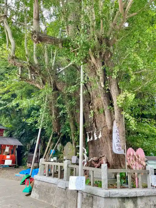 海南神社(神奈川県)