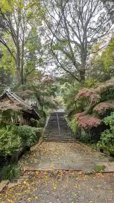 椎尾神社(大阪府)