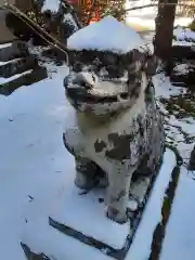 柳津虚空蔵尊 寳性院の狛犬