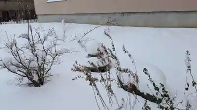 龍王神社の庭園