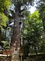 麻賀多神社(千葉県)