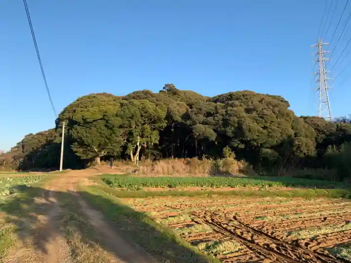 高皇産靈神社(千葉県)