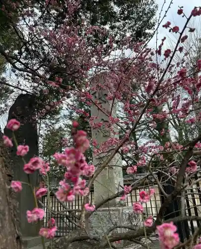 布多天神社(東京都)