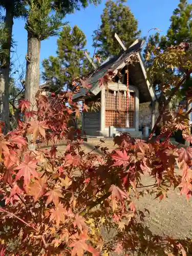 金毘羅社(埼玉県)