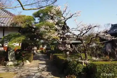 石光寺(奈良県)