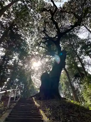 八幡神社のその他建物