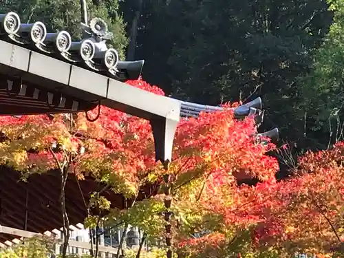 南禅寺(京都府)