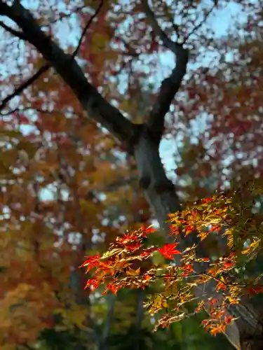 諏訪大社下社秋宮(長野県)