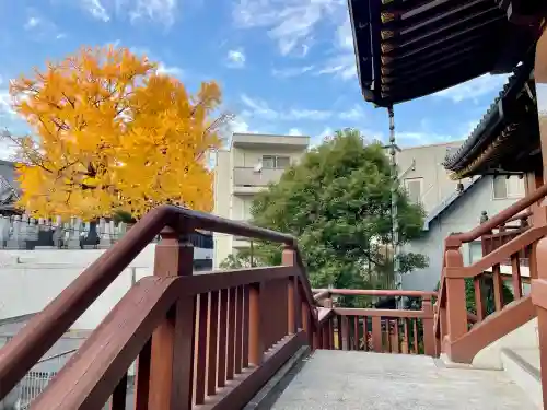 専光寺(東京都)