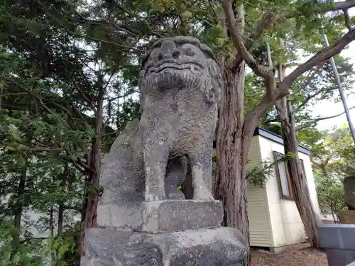 北見神社の狛犬