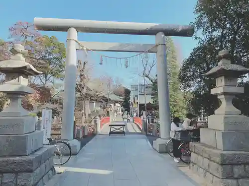 松戸神社の鳥居