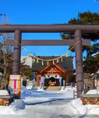 札幌村神社(北海道)