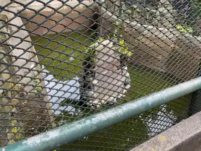 海南神社のその他建物