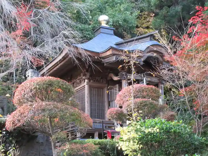 大正寺(中野不動尊)の本殿・本堂