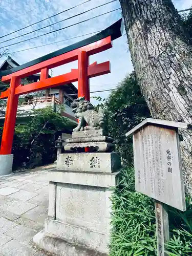 宇治神社の鳥居