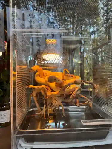 坪沼八幡神社の動物