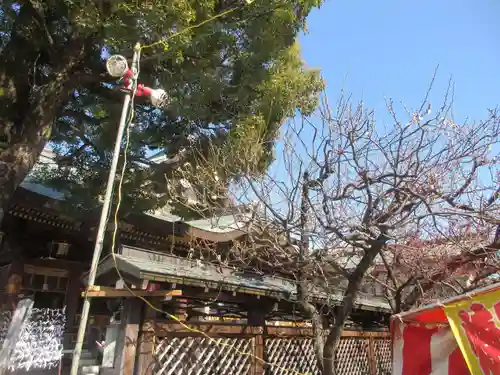 湯島天満宮(東京都)