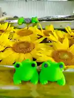 立志神社(滋賀県)