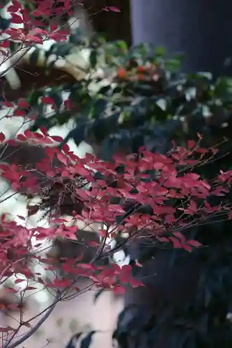 調神社(埼玉県)