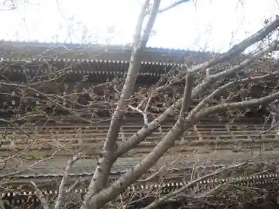 光明寺のその他建物