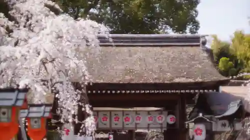 平野神社(京都府)