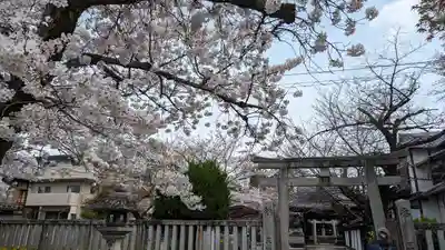 吒枳尼天(法伝寺)(京都府)