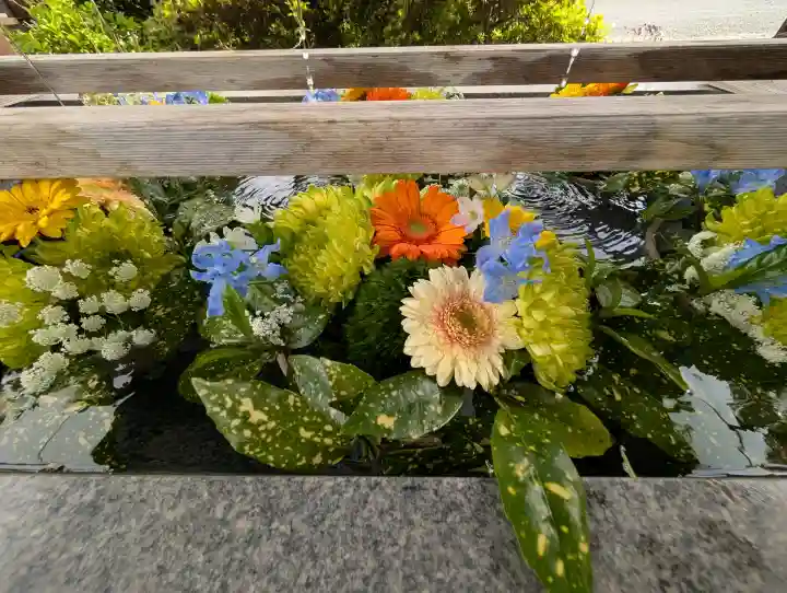 豊景神社の{uncategorized: "未分類", other: "その他", undefined: "問題あり", building: "その他建物", grave: "お墓", sacred_gate: "鳥居", guardian: "狛犬", statue: "像", buddha: "仏像", history: "歴史", nature: "自然", garden: "庭園", animal: "動物", pagoda: "塔", temizu: "手水舎", mountain_gate: "山門・神門", sanctuary: "本殿・本堂", subordinate: "末社・摂社", art: "芸術", scenery: "景色", jizo: "地蔵", ema: "絵馬", goshuin: "御朱印", omikuji: "おみくじ", items: "授与品その他", amulet: "お守り", goshuincho: "御朱印帳", eats: "食事", festival: "お祭り", votive_dance: "神楽", shichigosan: "七五三参", wedding: "結婚式", experience: "体験その他", initially: "初詣", around: "周辺", anti_infection: "感染症対策"}