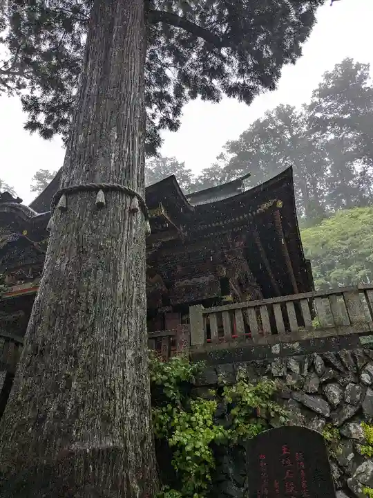 三峯神社(埼玉県)