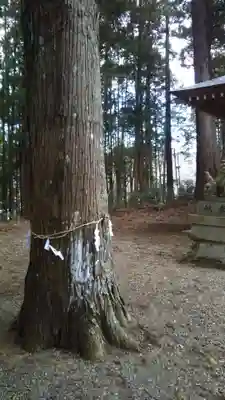 稲荷神社のその他建物