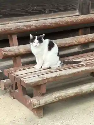 妻沼聖天山歓喜院の芸術