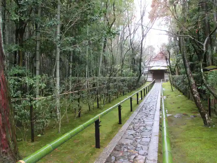 高桐院(京都府)