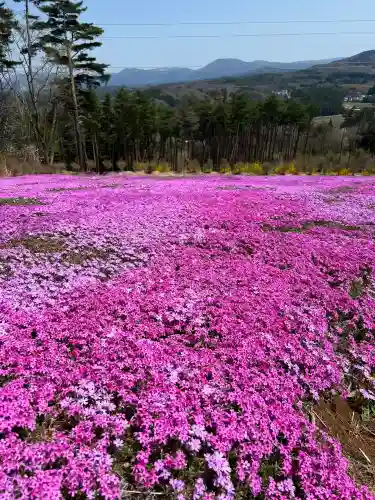 若がえり大神宮(福島県)