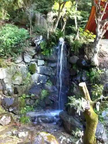 談山神社の自然