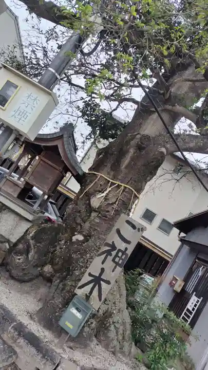 櫟谷七野神社(京都府)