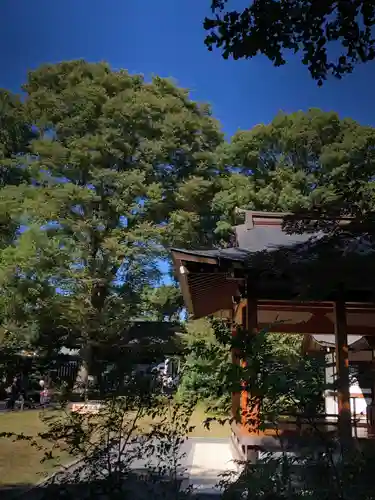 阿佐ヶ谷神明宮のその他建物